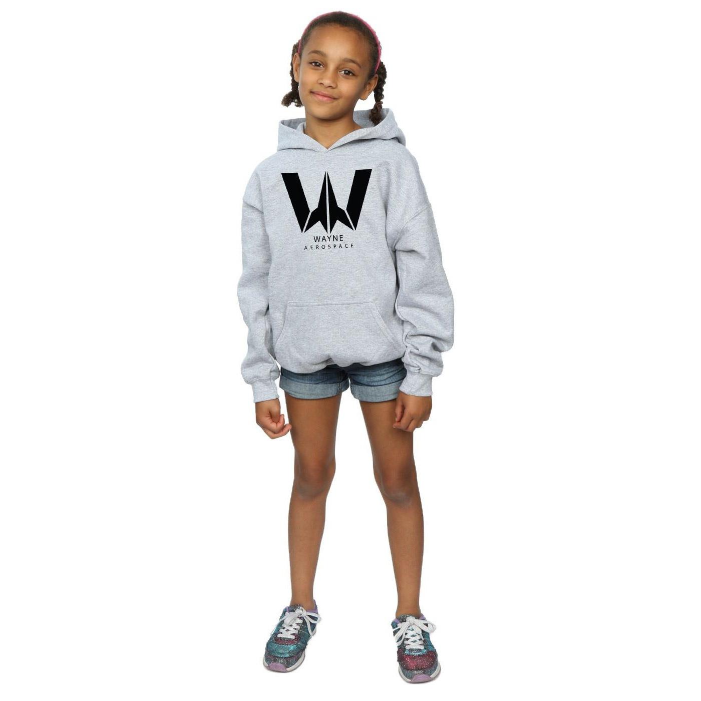 DC COMICS  Sweat à capuche JUSTICE LEAGUE WAYNE AEROSPACE 