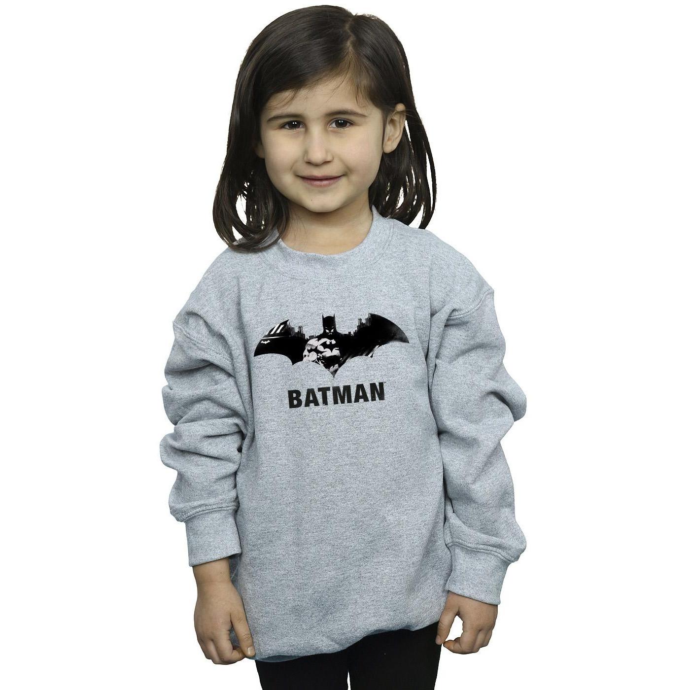 DC COMICS  Sweatshirt 