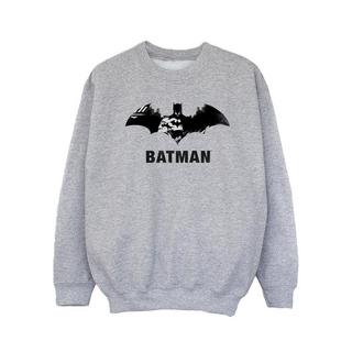 DC COMICS  Sweatshirt 