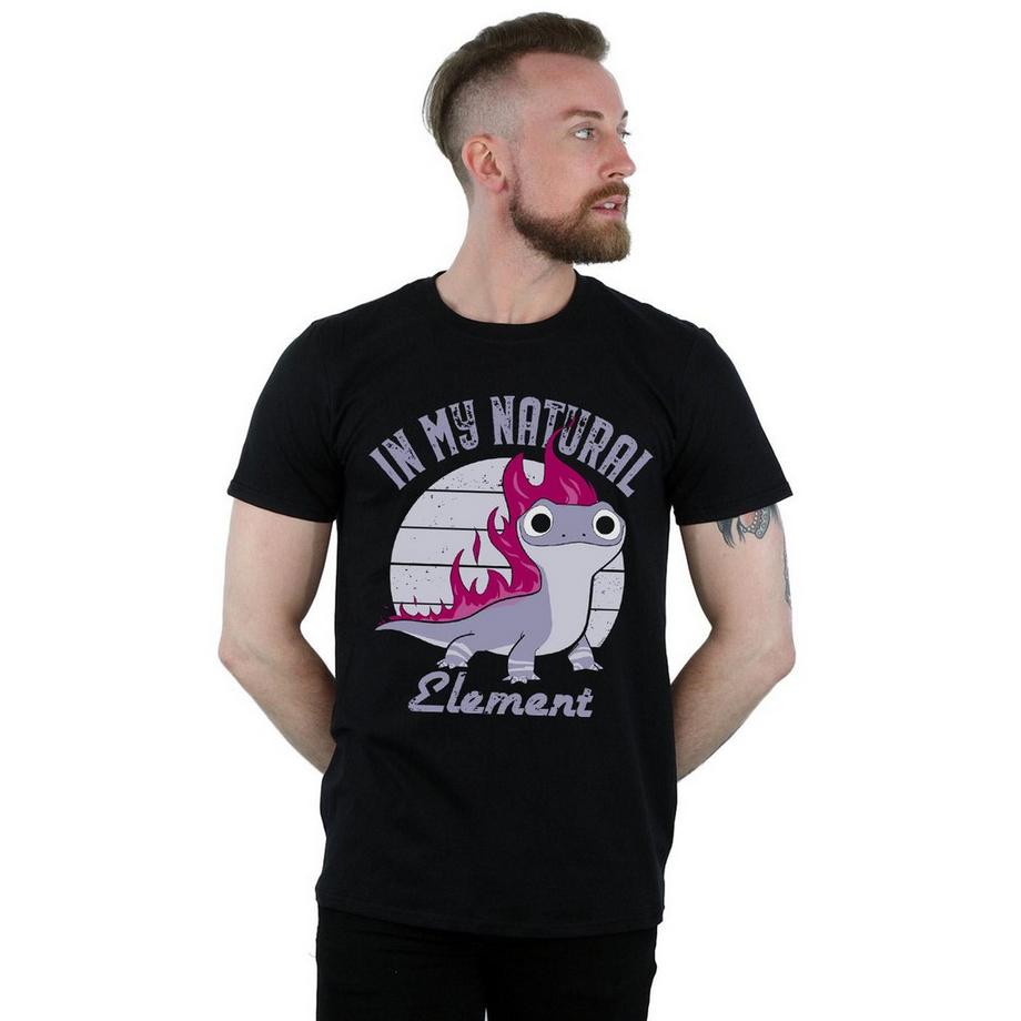 Disney Frozen 2 Bruni In My Natural Element T-Shirt  