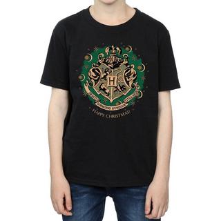 Harry Potter  Tshirt 