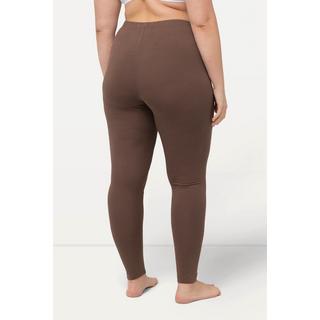 Ulla Popken  Legging en coton avec taille élastique, coupe Slim 