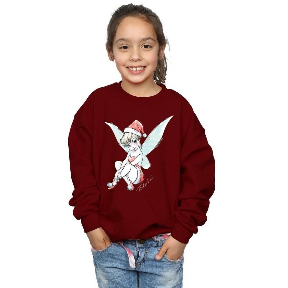 Disney  Fairy Sweatshirt 