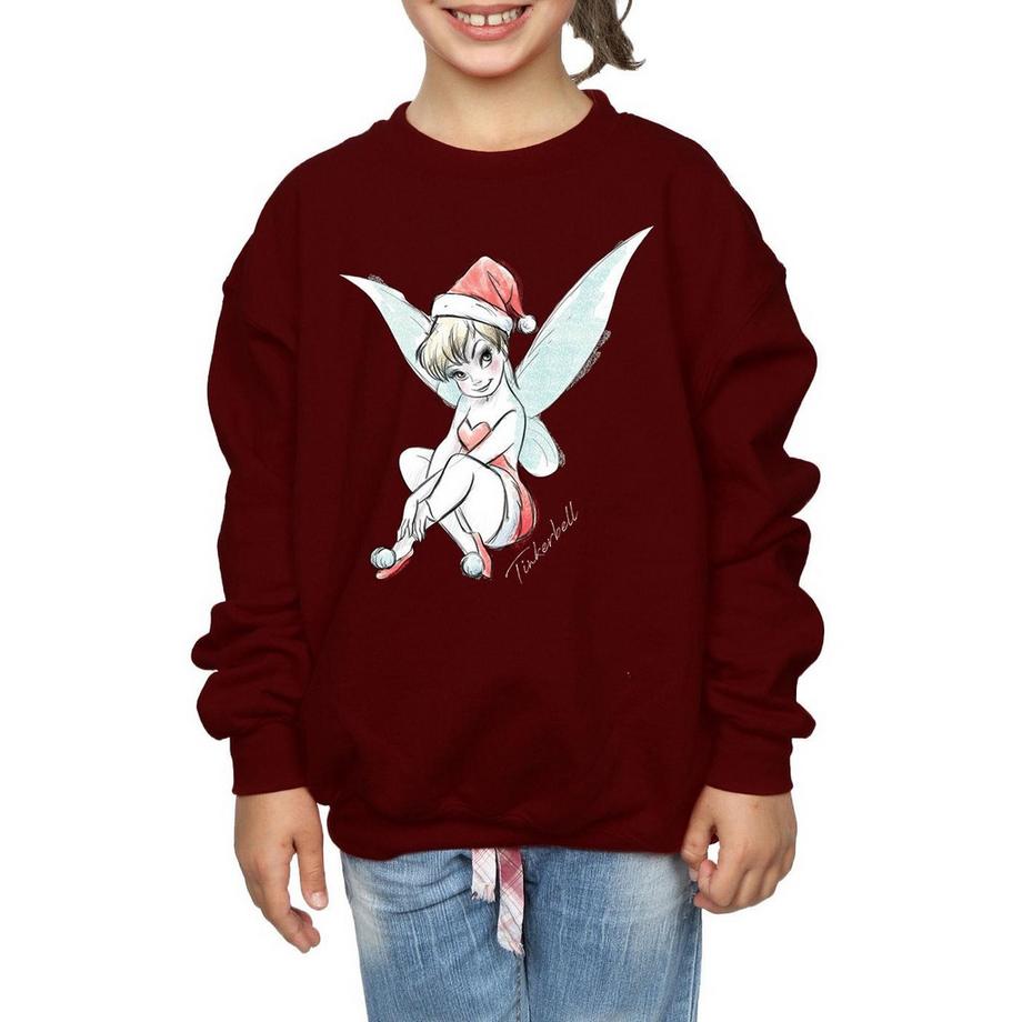 Disney  Fairy Sweatshirt 