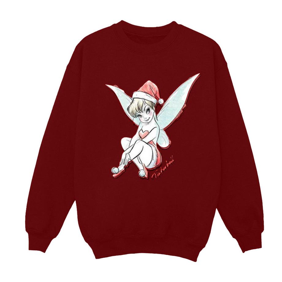 Disney  Fairy Sweatshirt 