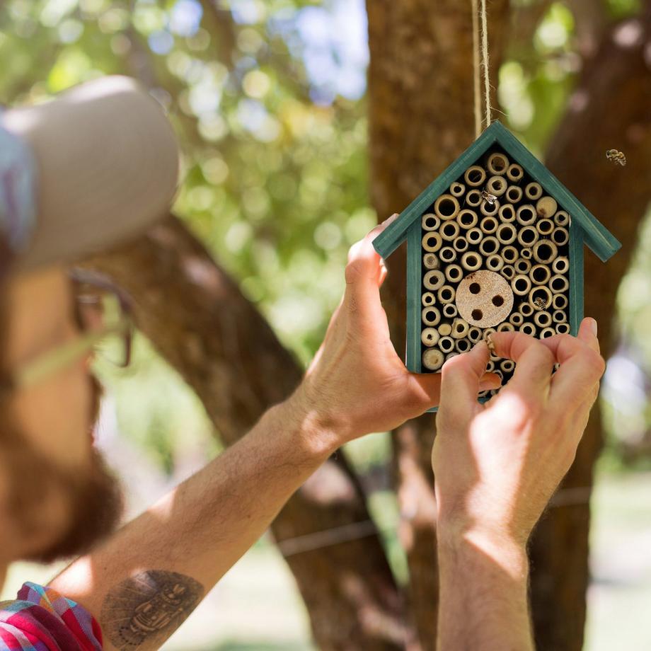 B2X Hôtel à insectes pour abeilles sauvages en vert  