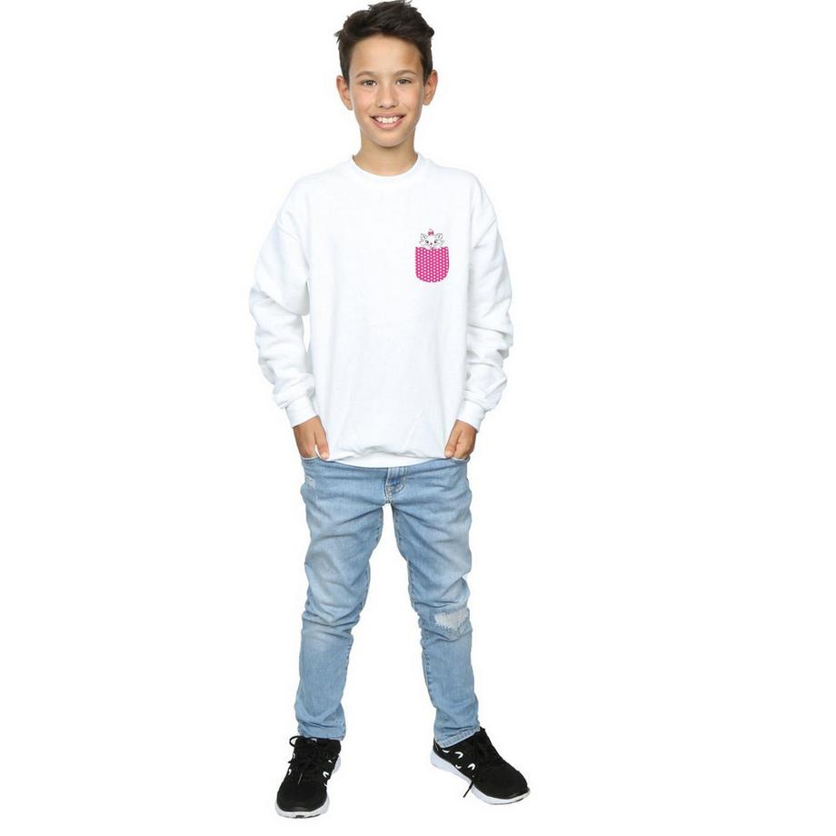 Disney  Aristocats Sweatshirt 