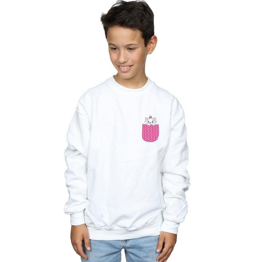 Disney  Aristocats Sweatshirt 