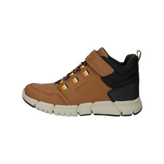 GEOX  Bottines 