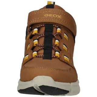 GEOX  Bottines 