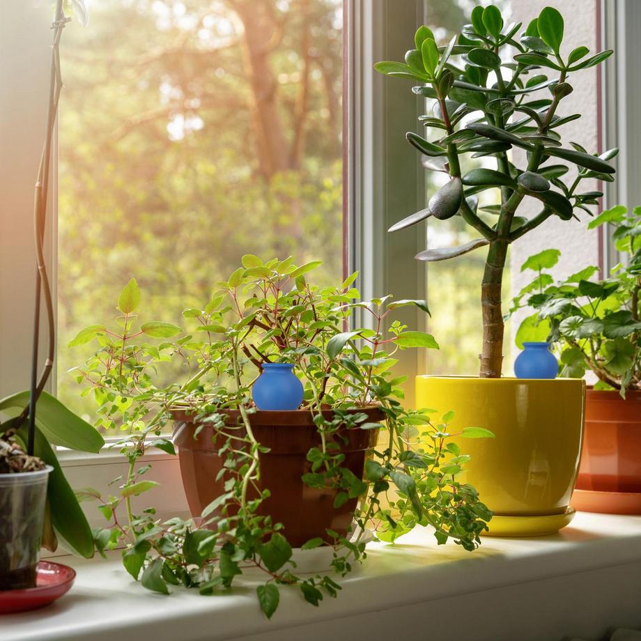 B2X  4 Bewässerungskugeln 