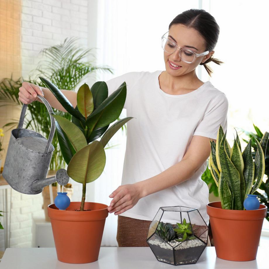 B2X  4 Bewässerungskugeln 