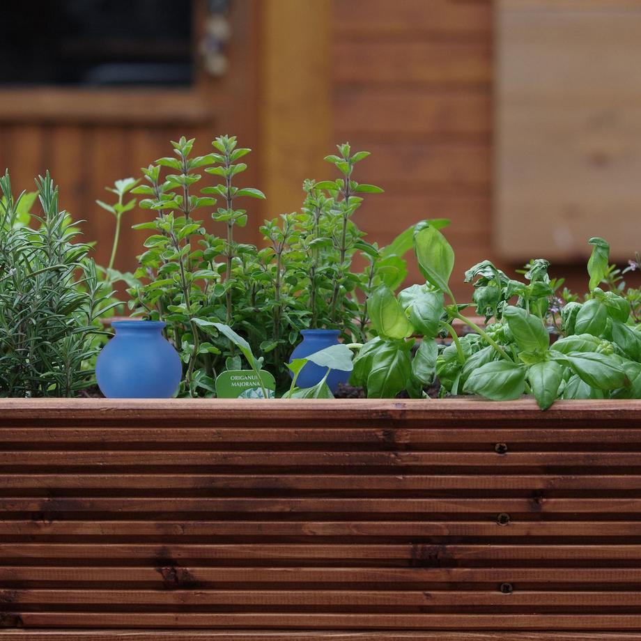 B2X  4 Bewässerungskugeln 