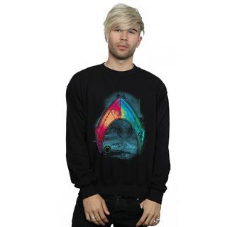 DC COMICS  Sweatshirt 