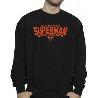 DC COMICS  Sweatshirt 