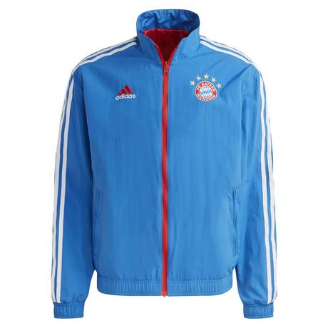 adidas FC Bayern Munchen 2022-23 Anthem Wendejacke  