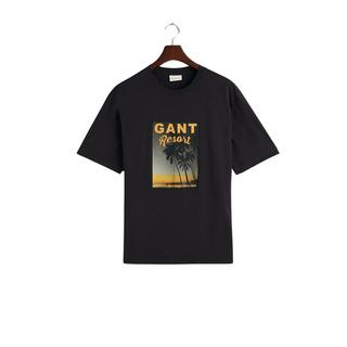 GANT  t-hirt wahed graphic 