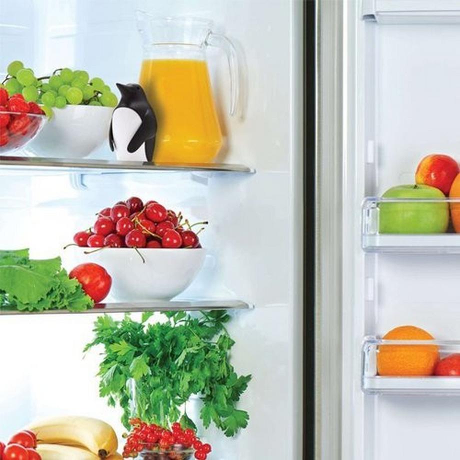 Monkey Business  Chill Bill Geruchsneutralisierer für den Kühlschrank 