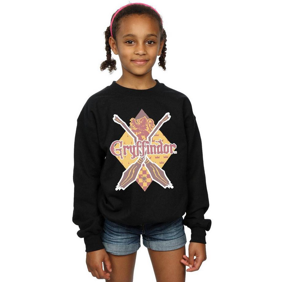 Harry Potter  Sweat GRYFFINDOR LOZENGE 