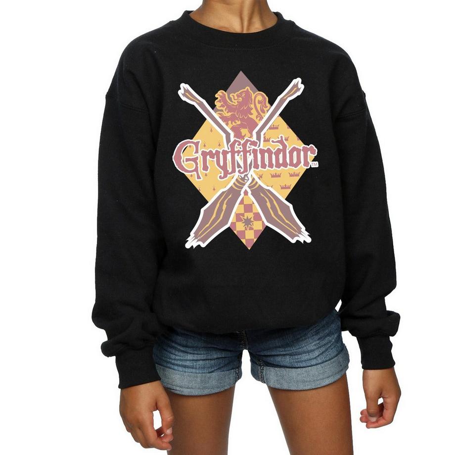 Harry Potter  Sweat GRYFFINDOR LOZENGE 
