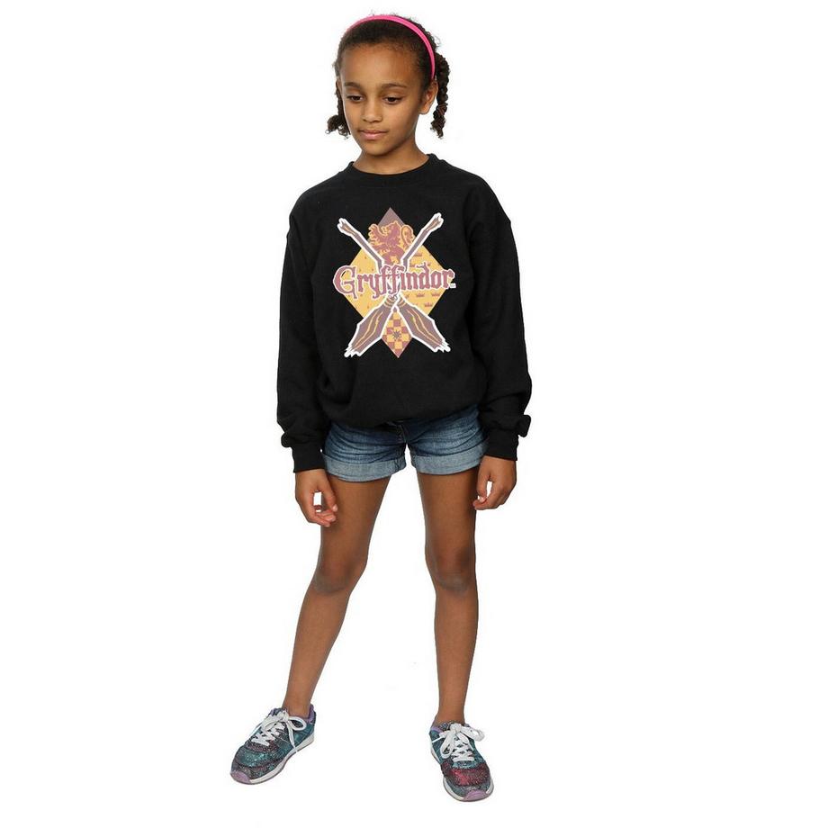 Harry Potter  Sweat GRYFFINDOR LOZENGE 