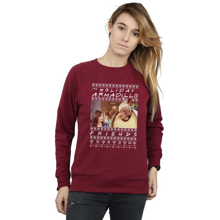 Friends Sweat Holiday Armadillo  