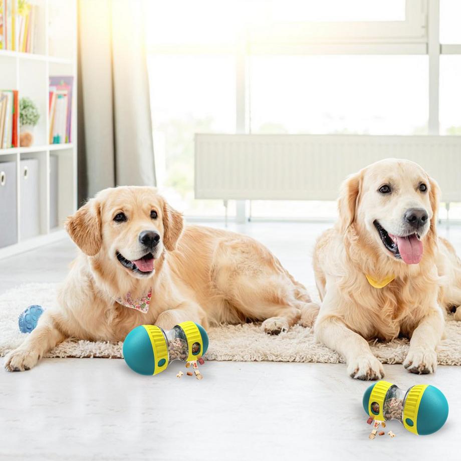 Activity-board  Jouet interactif pour chien 