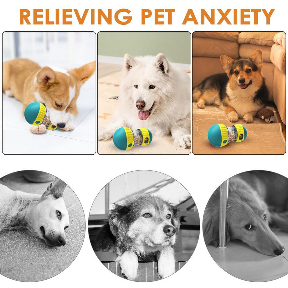 Activity-board  Jouet interactif pour chien 