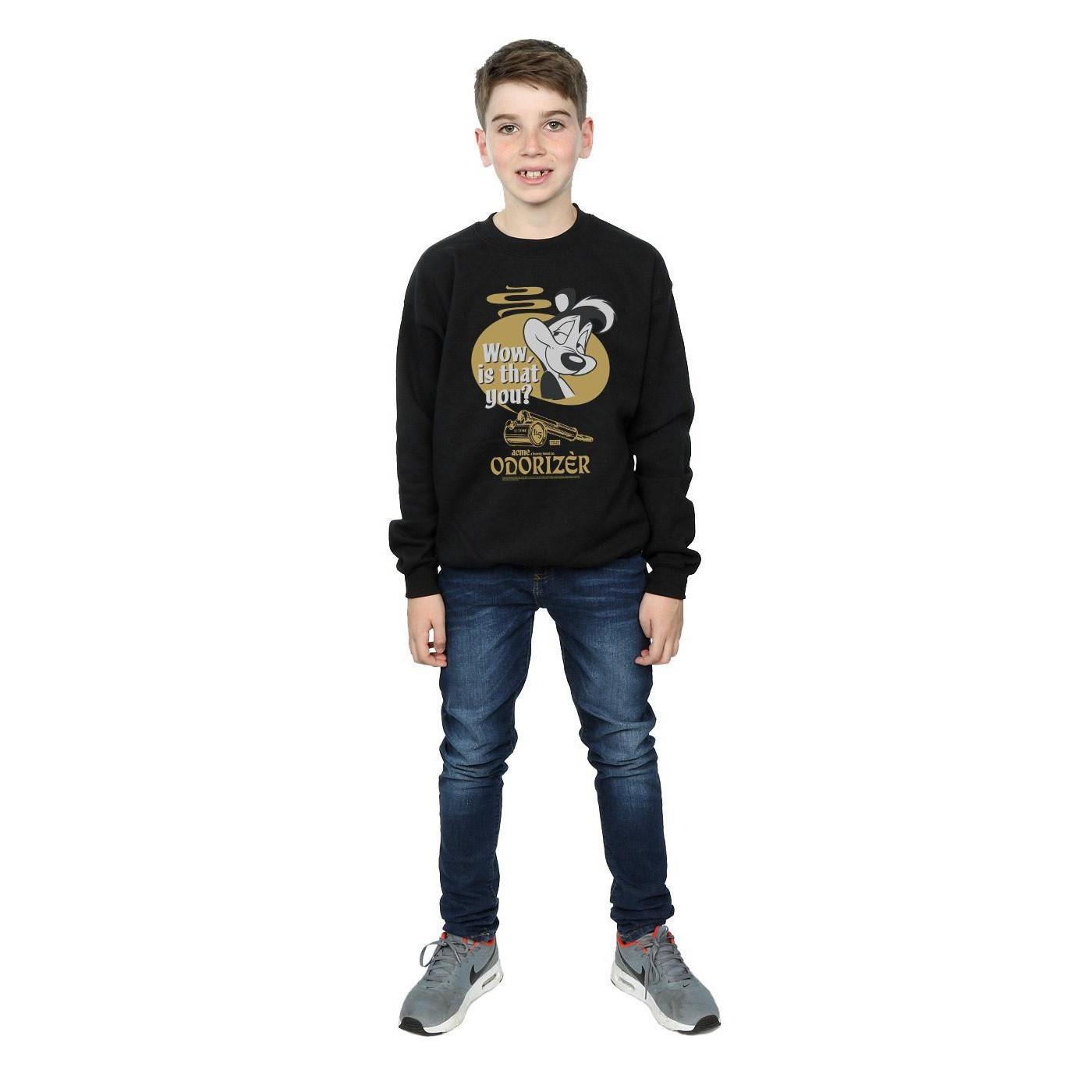 LOONEY TUNES  Odorizer Sweatshirt 