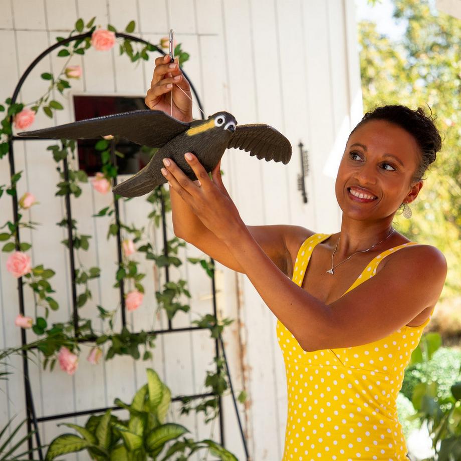 B2X  Mannequin de faucon rapace 