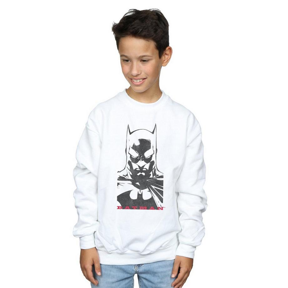 DC COMICS  Sweatshirt 