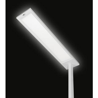 Hansa Floor Lamp LED Opal, white  
