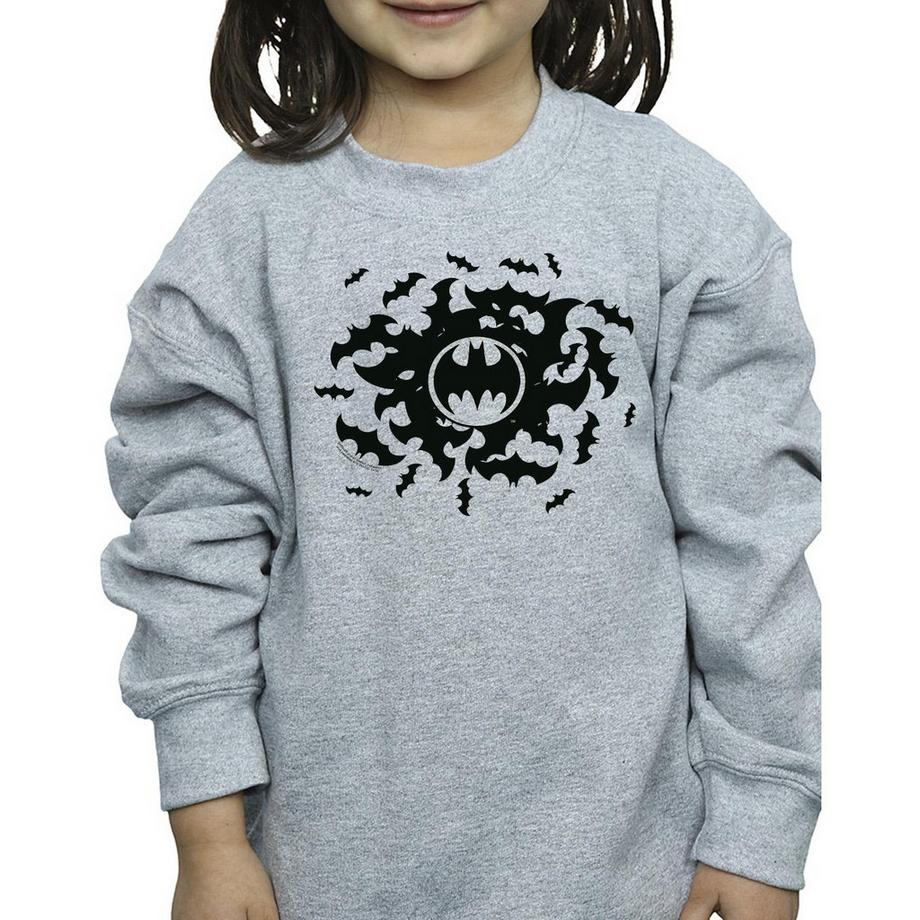 DC COMICS  Sweatshirt 