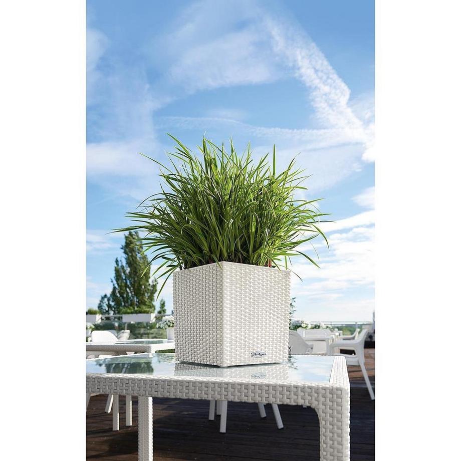 Lechuza Trend Collection CUBE Cottage all-in-one  