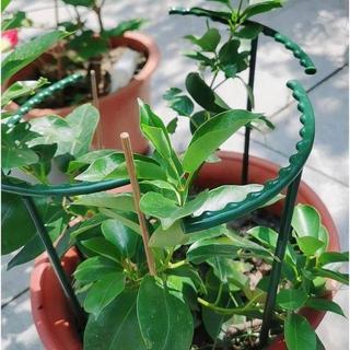 Northio 4x Supports de plantes pour plantes en pot  