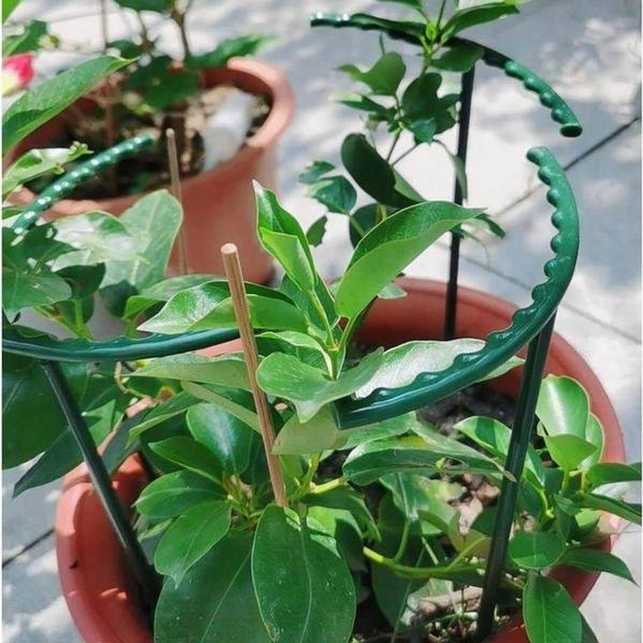 Northio 4x Supporti per piante in vaso  