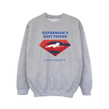 DCs DC League Of SuperPets Best Friend Sweatshirt