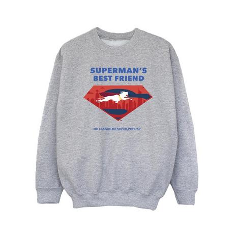 DC COMICS  Sweat DCS DC LEAGUE OF SUPERPETS BEST FRIEND 