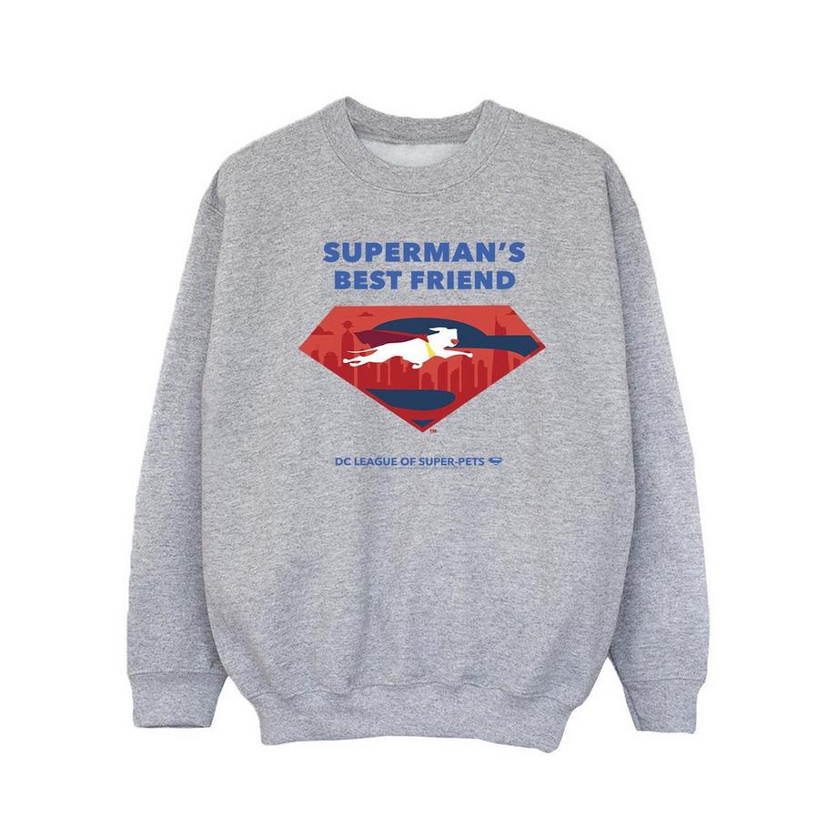 DC COMICS  DCs DC League Of SuperPets Best Friend Sweatshirt 