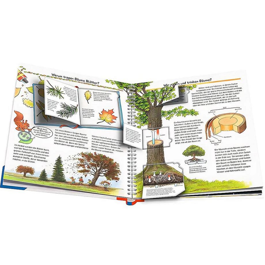 Wieso? Weshalb? Warum?, Band 52: Alles über Bäume Gernhäuser, Susanne; Wandrey, Guido (Illustrationen) Gebundene Ausgabe 