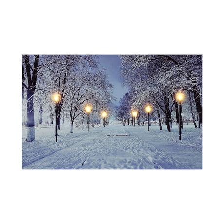 Dameco Image LED sur toile  Paysage hivernal  
