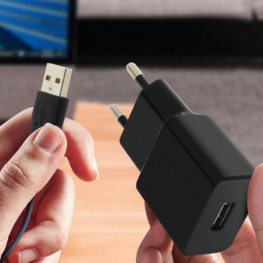 BLUE STAR  Chargeur Secteur 1A + Câble Micro USB 