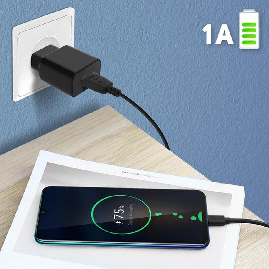 BLUE STAR  Chargeur Secteur 1A + Câble Micro USB 