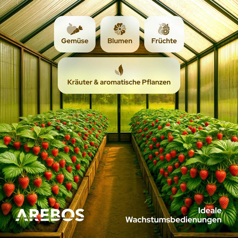 Arebos Polycarbonat Hohlkammerplatten Doppelstegplatten  