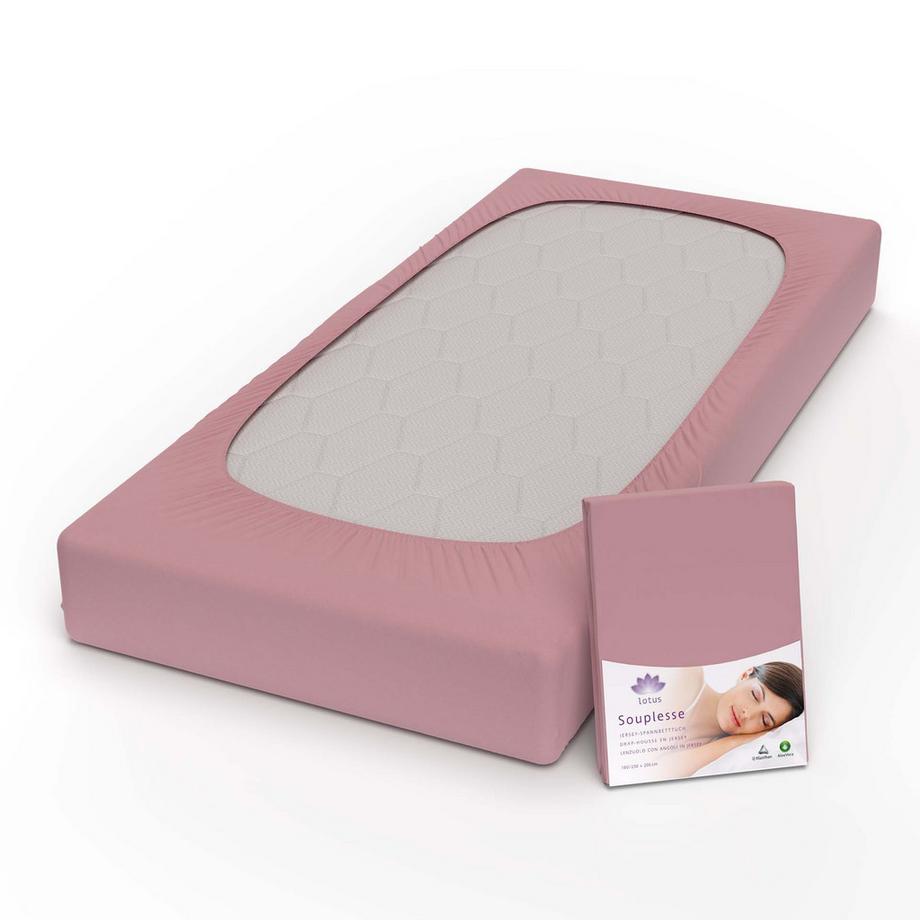 Lotus Bettwaren Souplesse Jersey Fixleintuch  