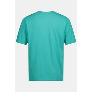 JP1880  T-shirt basic con scollo a V turchese chiaro 