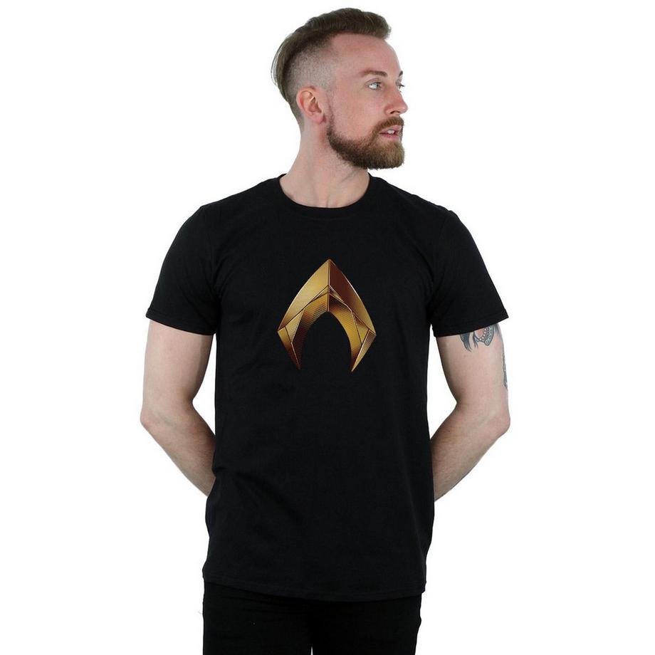 DC COMICS Aquaman Logo T-Shirt  