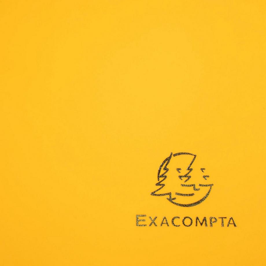 Exacompta Chemise à élastique 3 rabats Polypropylène 4/10e Opaque Eco - A4 - x 30  