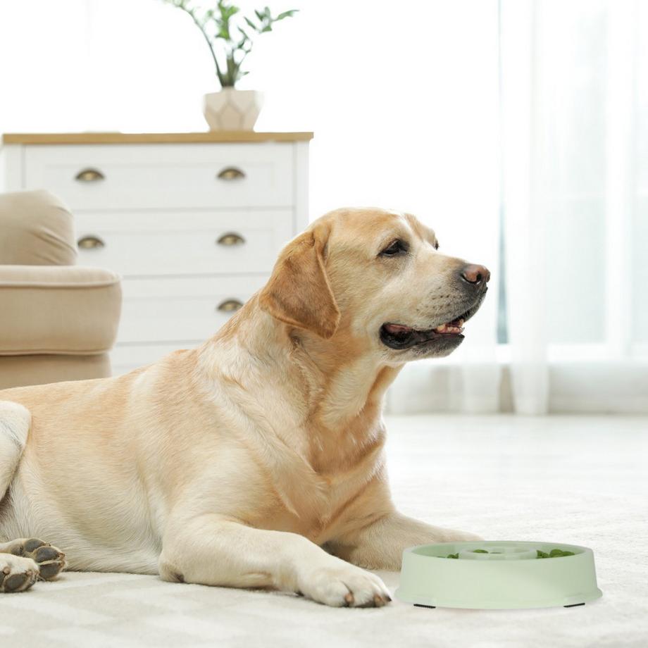 B2X  Anti-Schlingschüssel 500 ml 