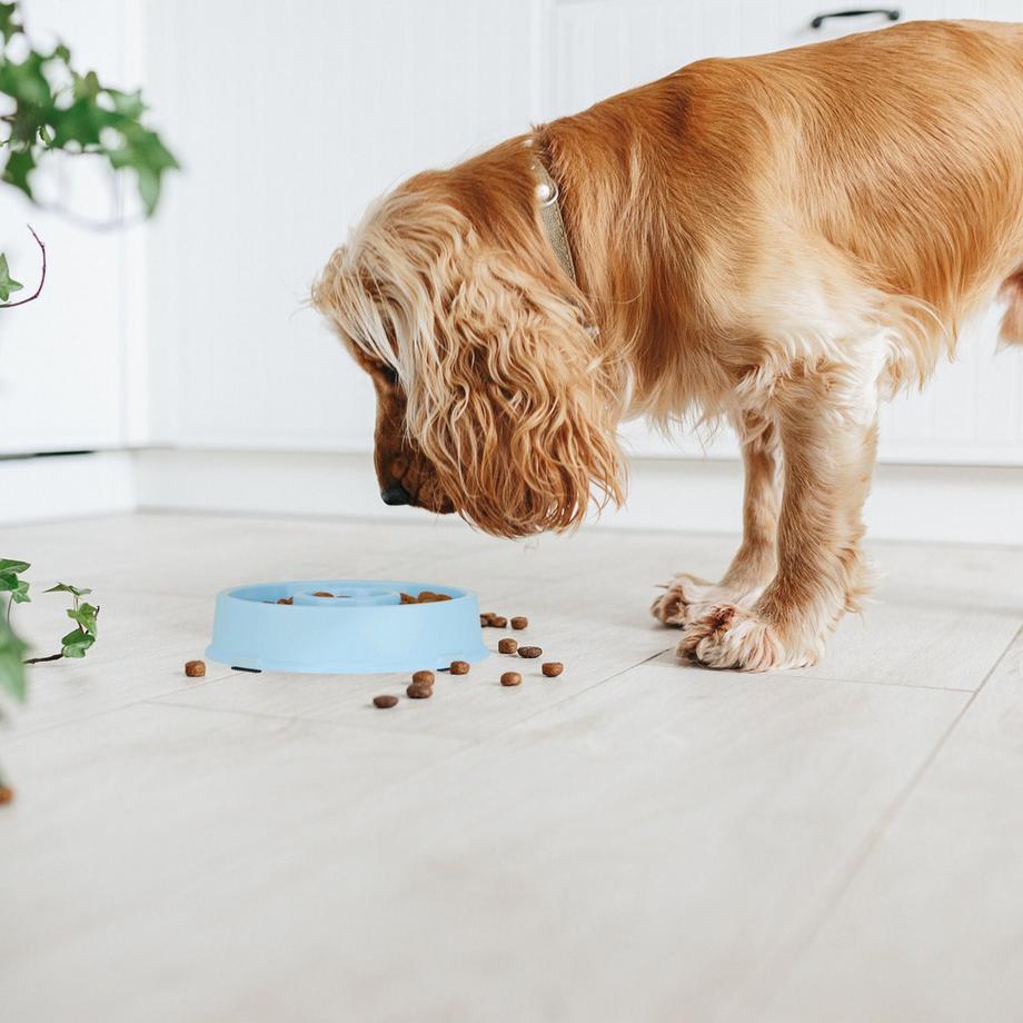 B2X  Anti-Schlingschüssel 500 ml 